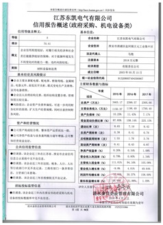 信用报告